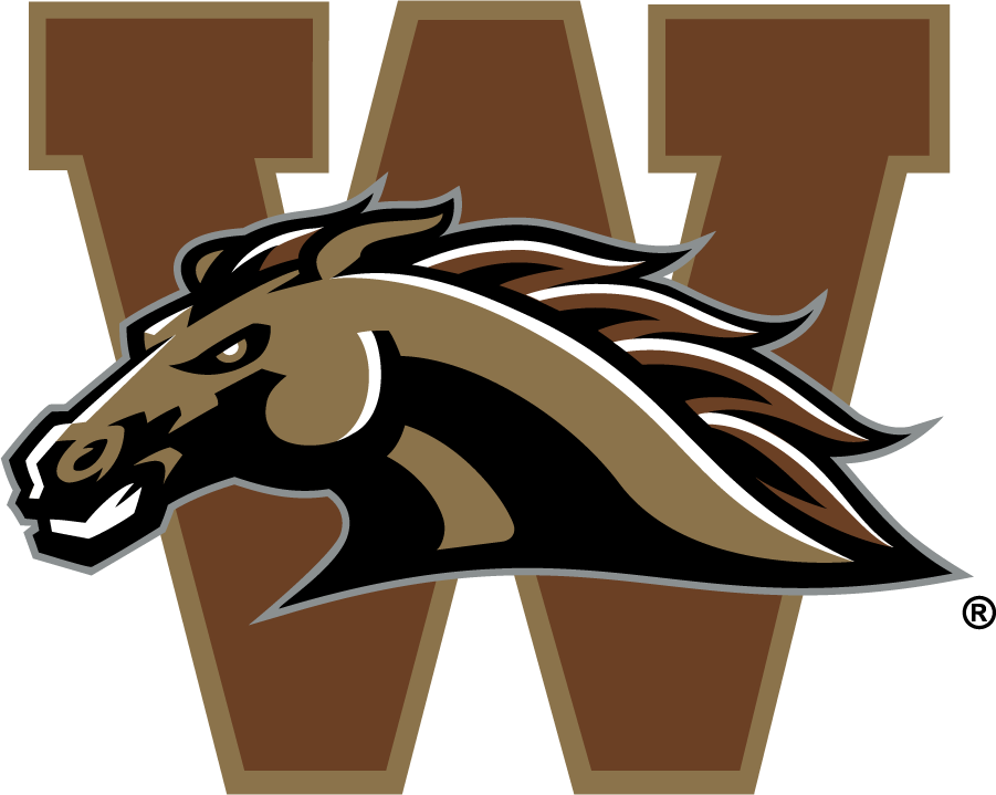 Western Michigan Broncos 1998-2016 Secondary Logo v2 DIY iron on transfer (heat transfer)